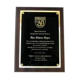 Engraved Economy Plaques