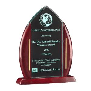Point Series Acrylic Award w/Rosewood Gold Accent Base