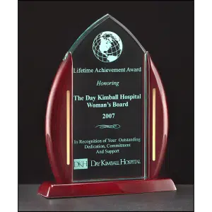 Point Series Acrylic Award