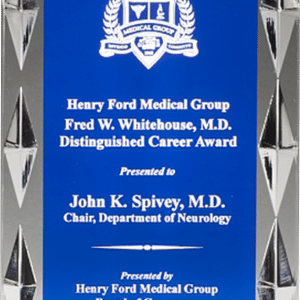 Blue Carved Jewel Acrylic Award