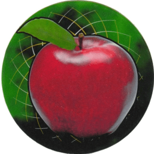 Apple 2" Mylar