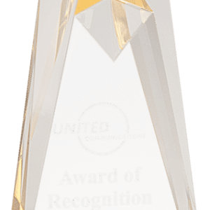 Sculpted Star Acrylic Award