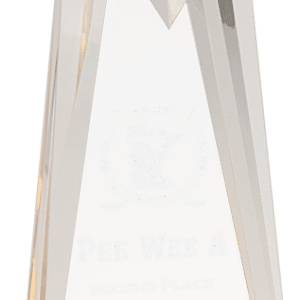 Sculpted Star Acrylic Award