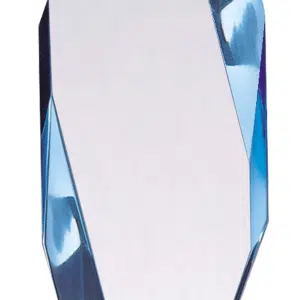 Octo Lucite Acrylic Award