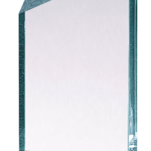 Peak Lucite Acrylic Award