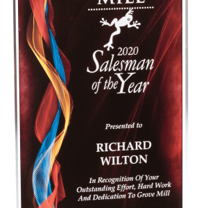 Illusion Acrylic Award