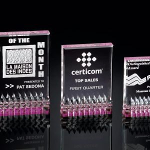 Purple Rectangle Acrylic Award