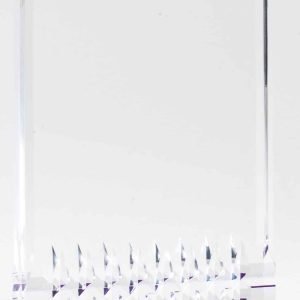 Purple Rectangle Acrylic Award