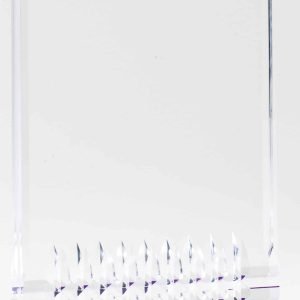 Purple Rectangle Acrylic Award