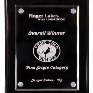 Piano Finish Floating Acrylic Premium Plaques