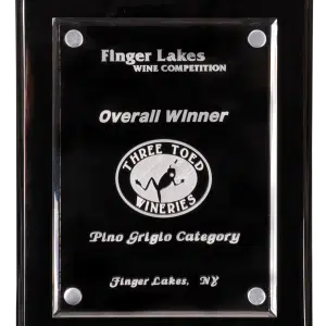 Piano Finish Floating Acrylic Premium Plaques