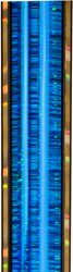 Trophy Column - Narrow - Blue/Gold Glacier