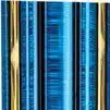 Trophy Column – Wide