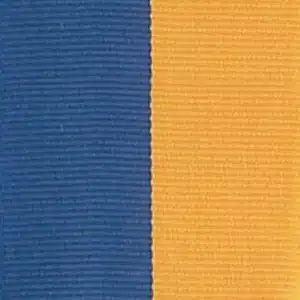 BLUE/GOLD - Narrow Neck Ribbon