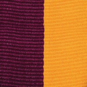 MAROON/GOLD - Narrow Neck Ribbon