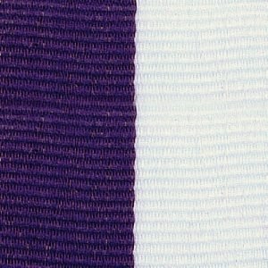 PURPLE/WHITE - Narrow Neck Ribbon