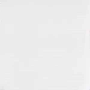 WHITE - Narrow Neck Ribbon