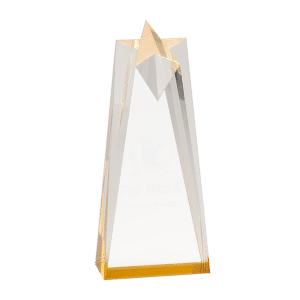Sculpted Star Acrylic Award