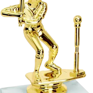Budget Trophy