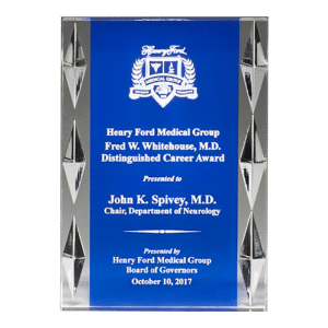 Blue Carved Jewel Acrylic Award