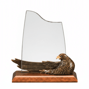 Resin Eagle Acrylic Award