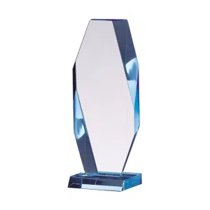 Octo Lucite Acrylic Award
