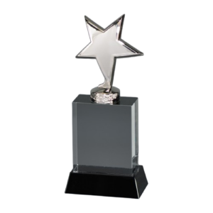 Metal Star Crystal Award