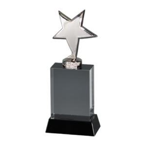 Metal Star Crystal Award