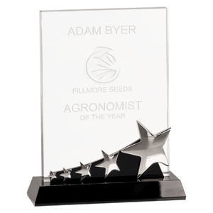 Silver Stars Rectangle Crystal Award