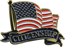 Educational Enamel Filled Lapel Pins