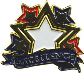 Educational Enamel Filled Lapel Pins