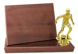 7" x 5" Billboard Trophy