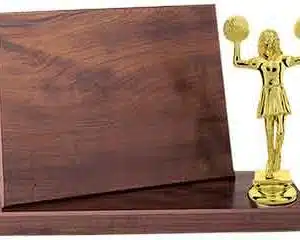 8" x 6" Billboard Trophy