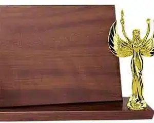 Billboard Trophies