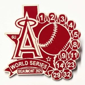 Custom Plastic Laminate Lapel Pins