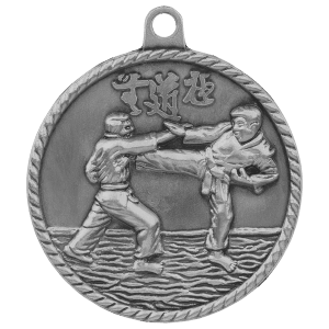 Karate Medal - Silver