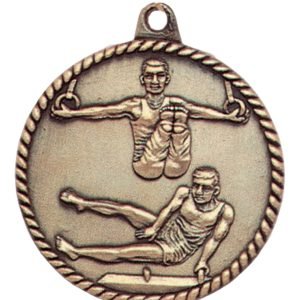 Male Gymnastics Medal - Gold