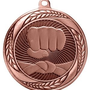 Martial Arts Medal