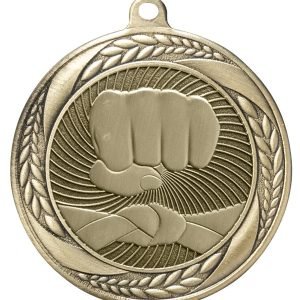 Martial Arts Medal