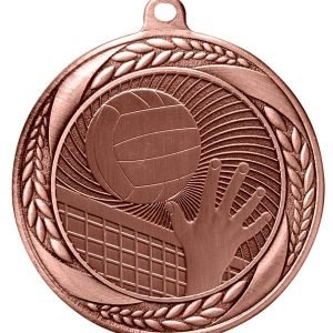 Volleyball Medal