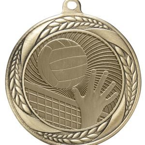 Volleyball Medal