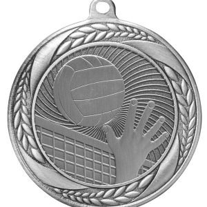 Volleyball Medal
