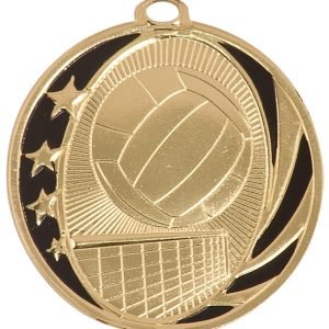Volleyball Medal