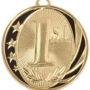 1st Place Medal