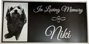 Outdoor Signs for Frames and Stands