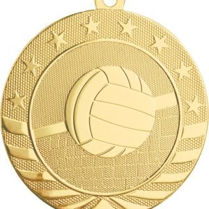 2" Volleyball Medal