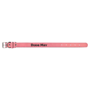 Dog Collars – Leatherette