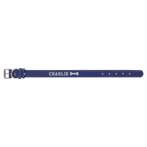 Dog Collars – Leatherette