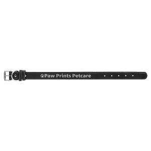 Dog Collars – Leatherette