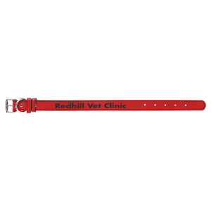 Dog Collars – Leatherette